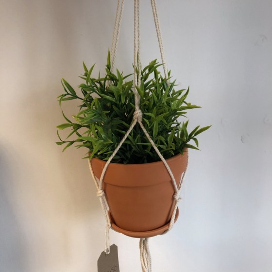 2020-08-24 12.21.062